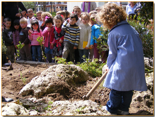 Medio Ambiente celebra el Día del Árbol con los alumnos del CEIP Tierno